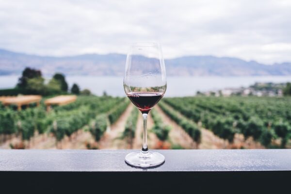 Fra Druer til Glas: En Dybtgående Guide til Rødvin